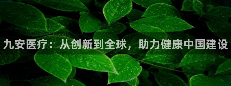 门徒娱乐官网登录入口登录手机版