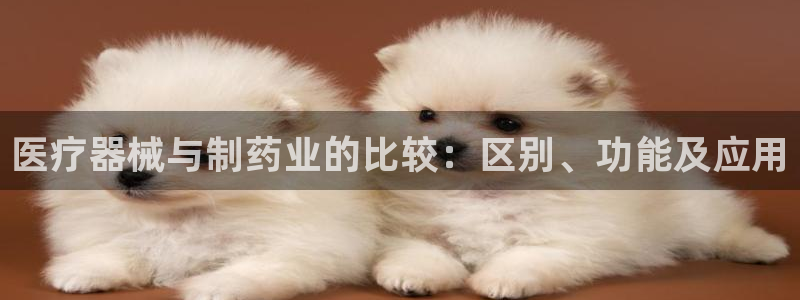 门徒娱乐是做什么的公司