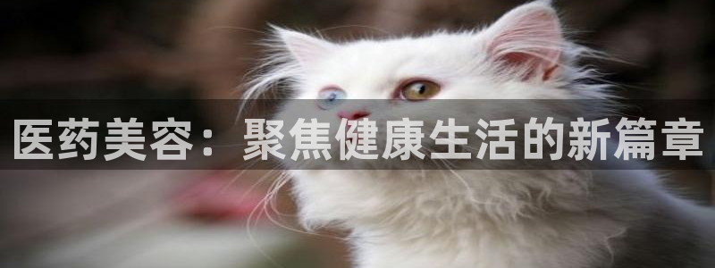 门徒娱乐注册平台有哪些