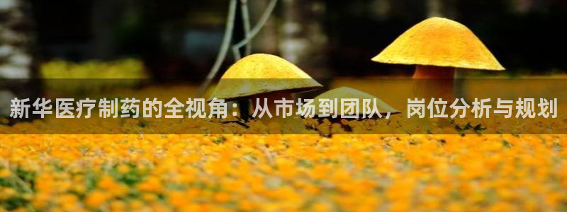 门徒娱乐什么平台