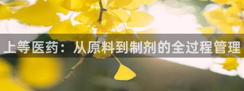 门徒娱乐系列有哪些游戏