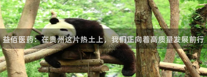 门徒娱乐系列有哪些