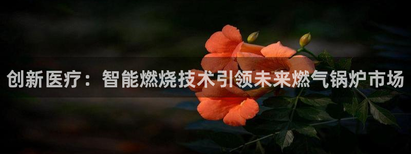 门徒娱乐 官方平台