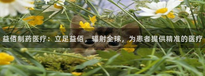 门徒娱乐是国家的彩票吗