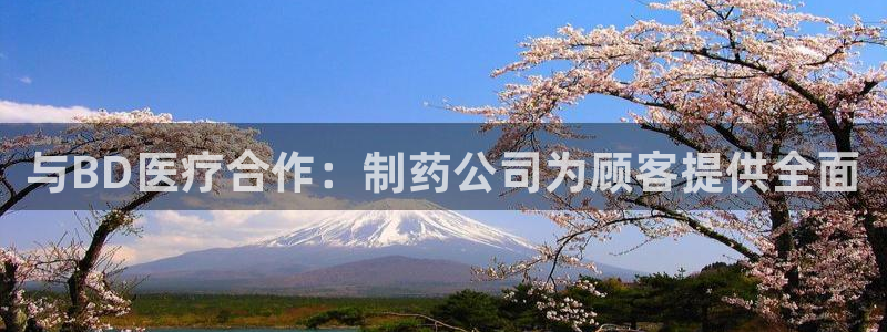 娱乐门徒百度云