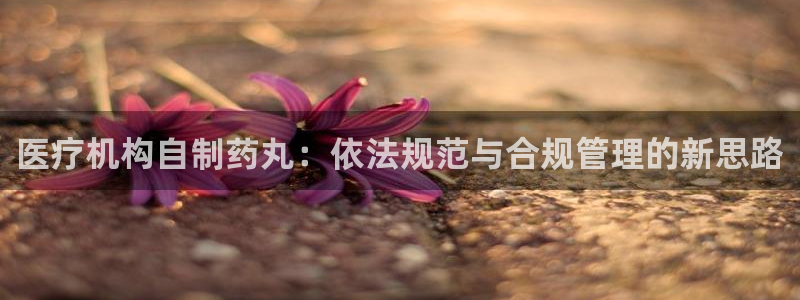 娱乐门徒王梓均是谁