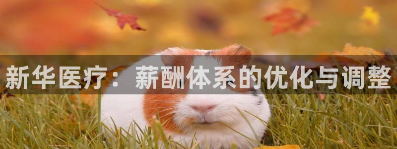 曼巴门徒娱乐圈