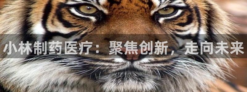 门徒娱乐注册分听判官333OO