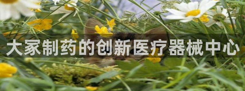 门徒娱乐几83343