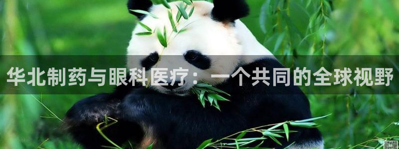 门徒娱乐代理待遇怎么样