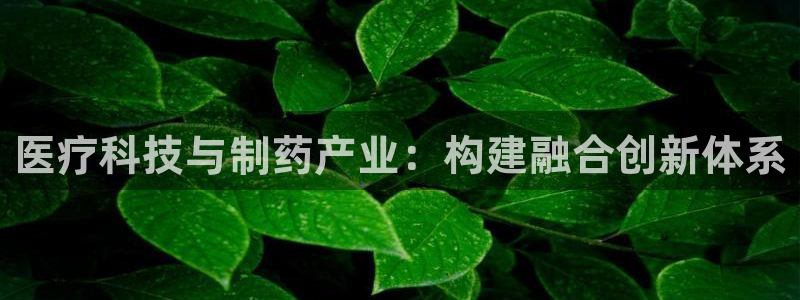 门徒娱乐平台登录网址