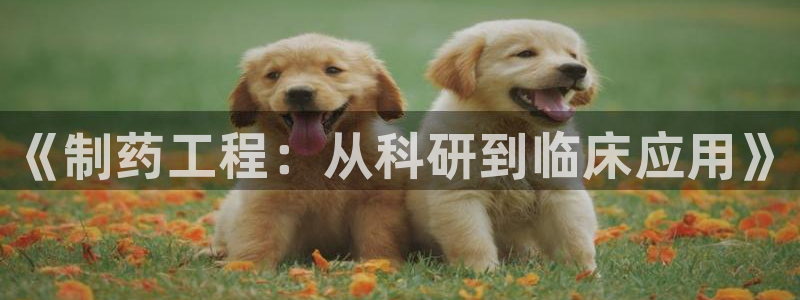 门徒娱乐网站官网