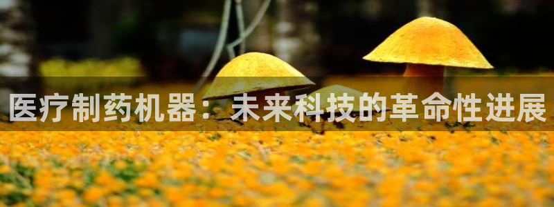 娱乐门徒奇书txt