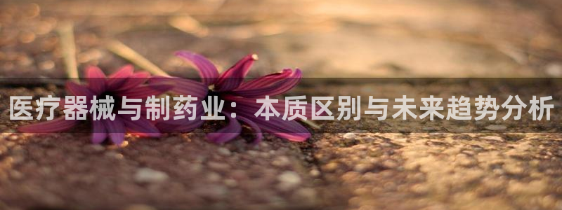 门徒娱乐平台代理登录